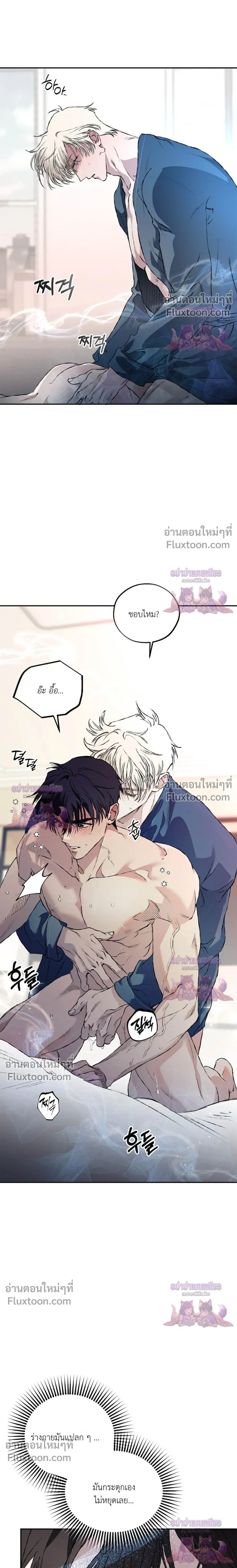 ภาพที่ 3