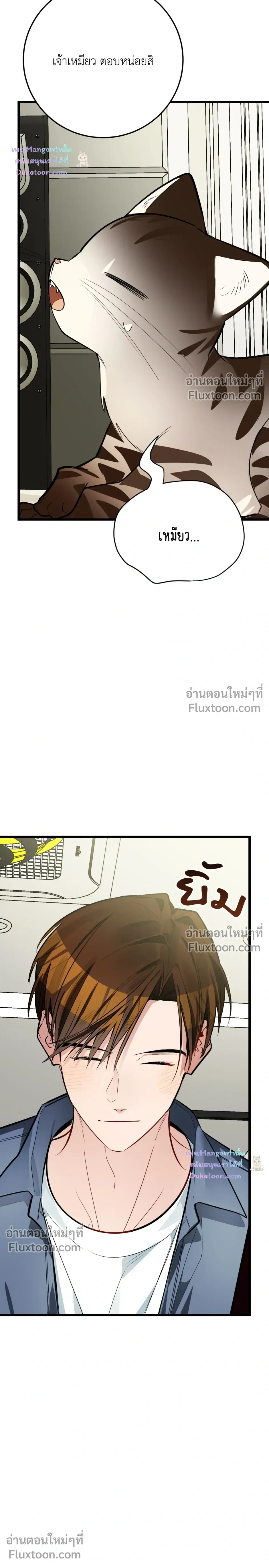 ภาพที่ 3