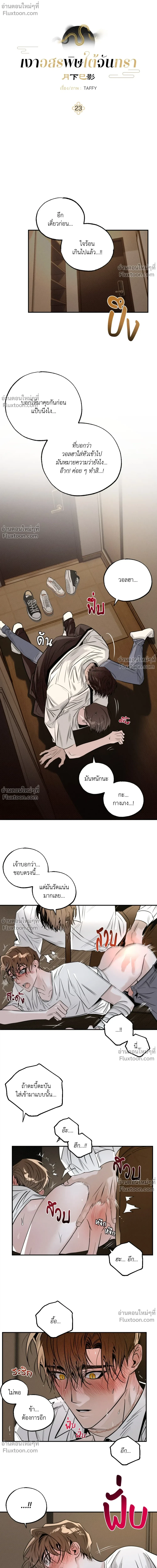 ภาพที่ 4
