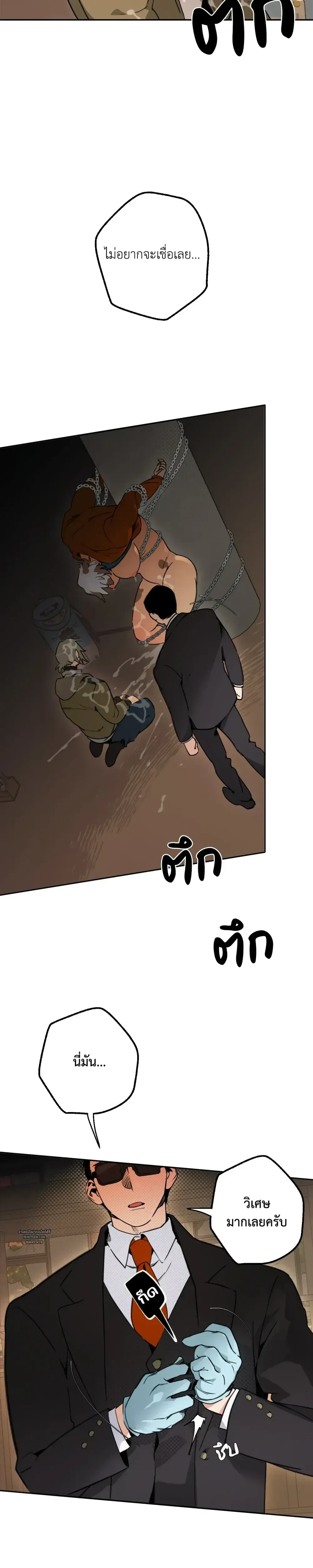 ภาพที่ 3