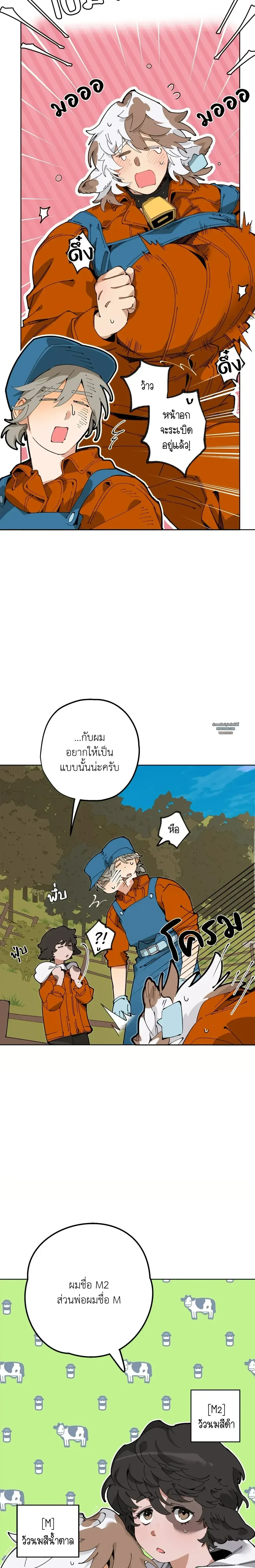 ภาพที่ 4