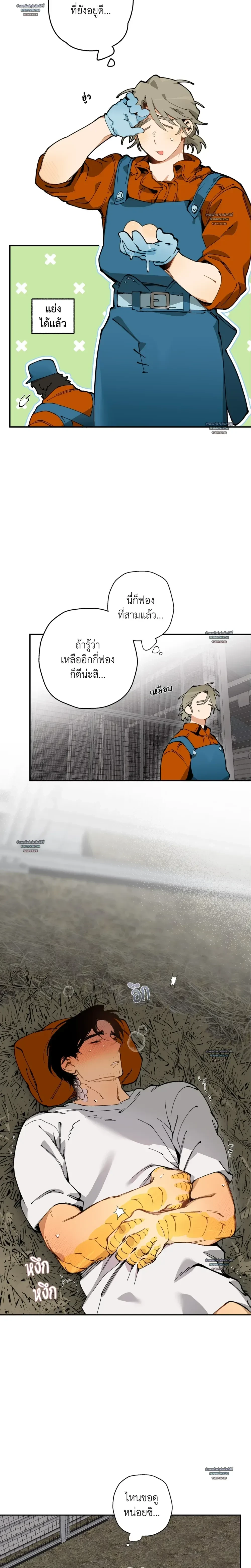 ภาพที่ 3