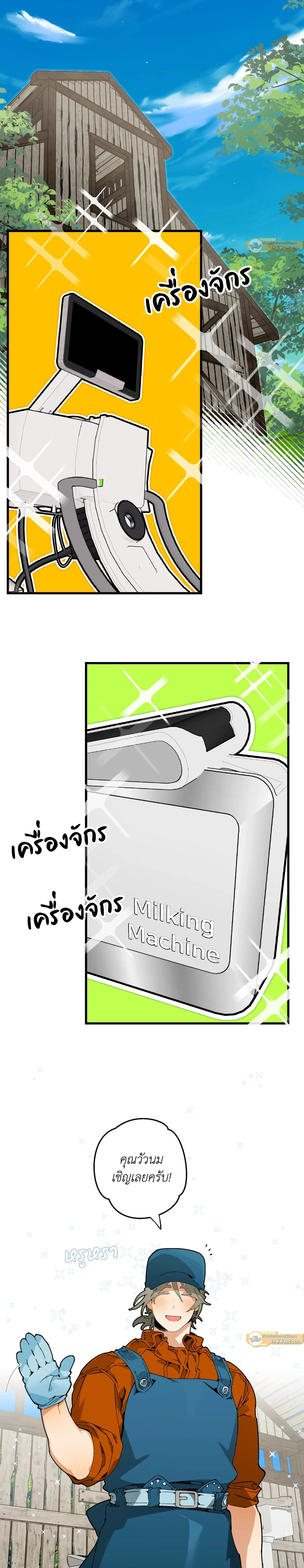 ภาพที่ 3