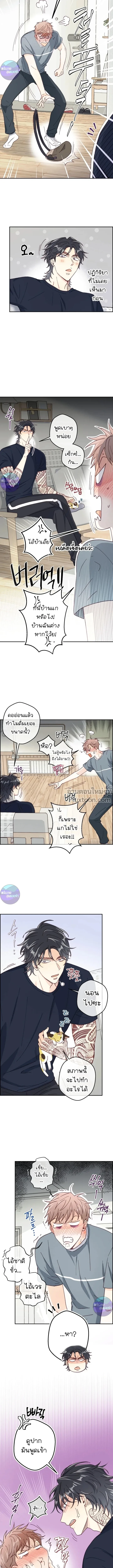 ภาพที่ 3