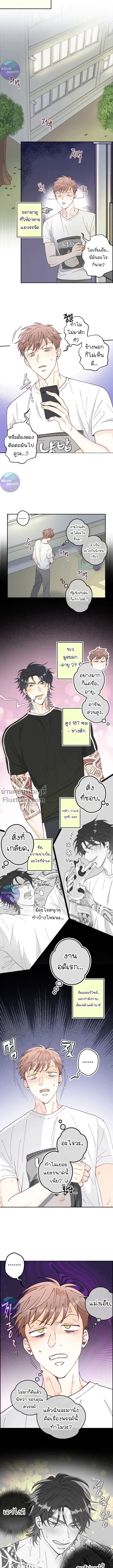 ภาพที่ 3