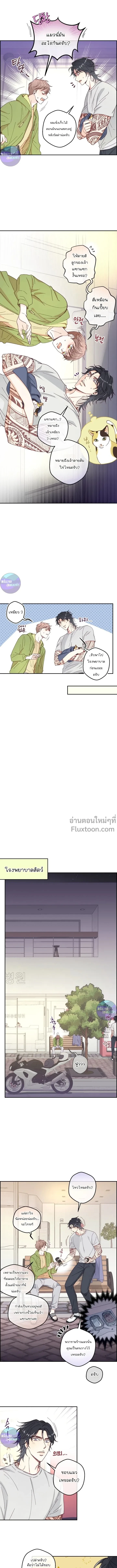 ภาพที่ 4