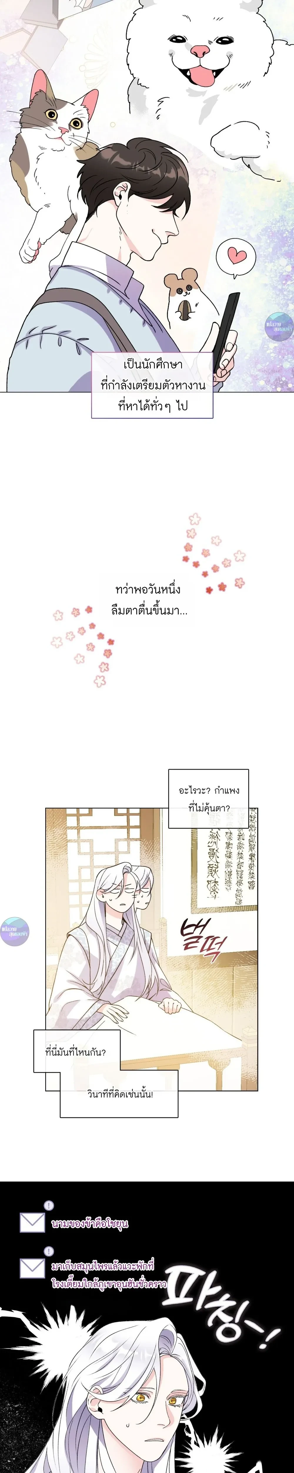 ภาพที่ 4