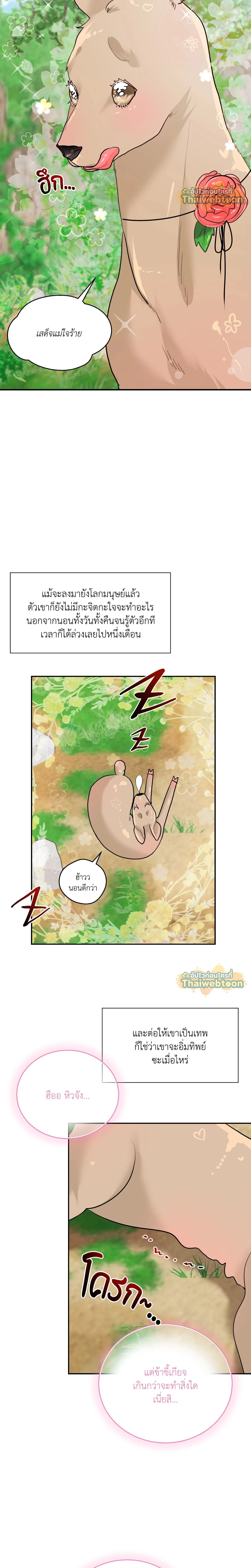 ภาพที่ 4