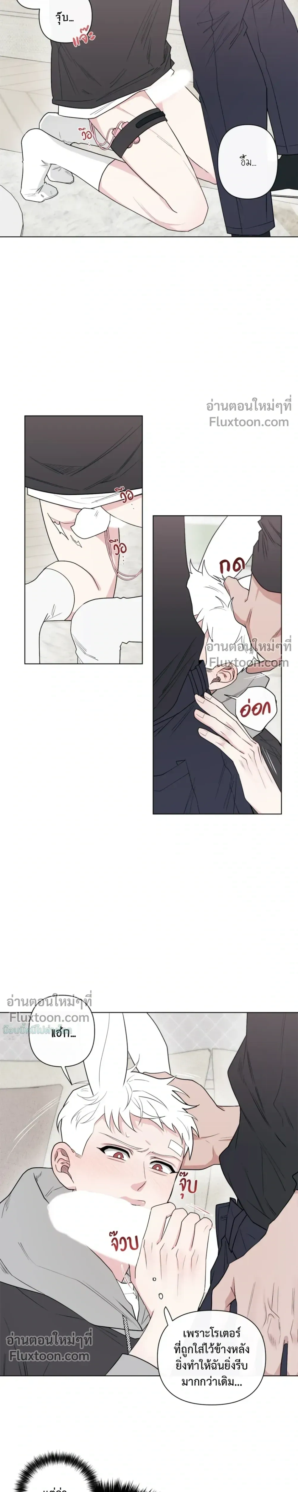 ภาพที่ 4