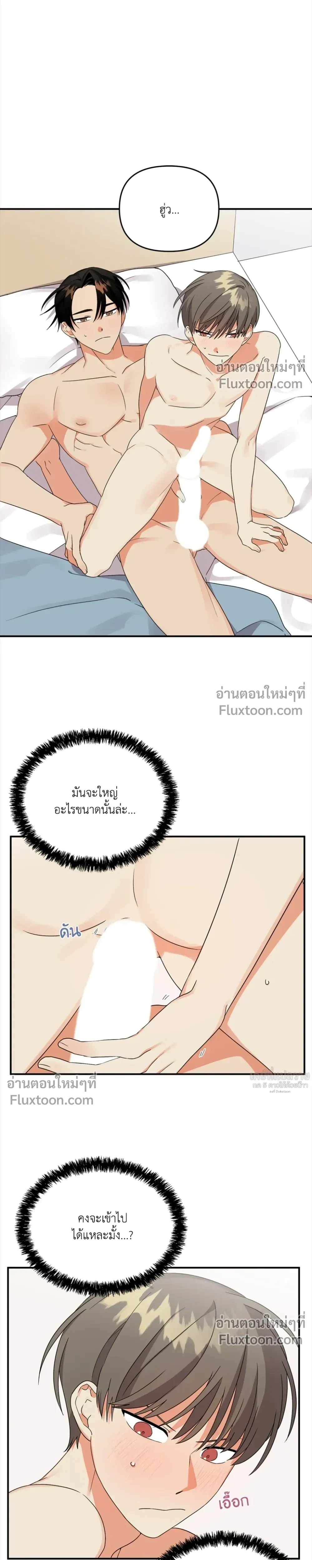 ภาพที่ 4