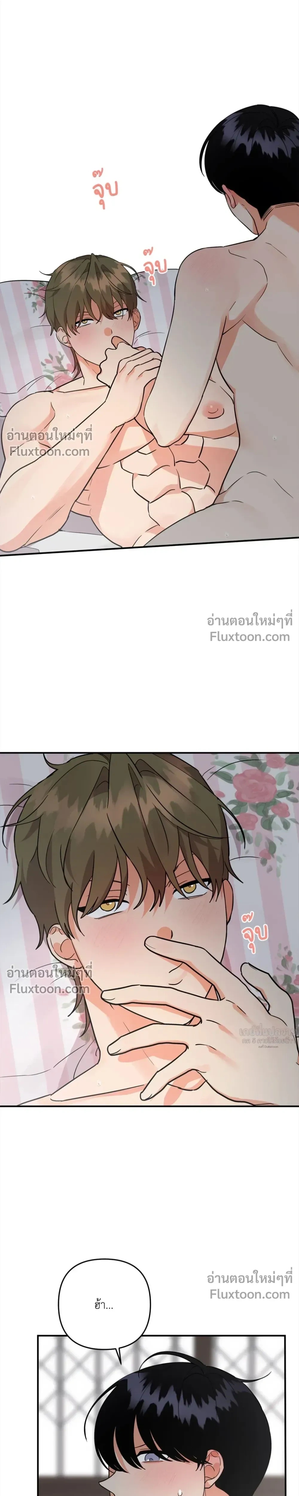 ภาพที่ 4