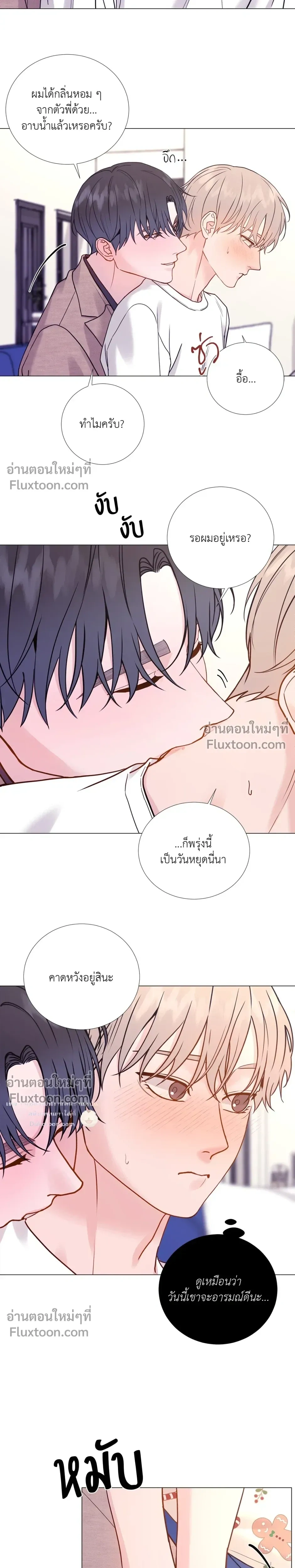 ภาพที่ 4