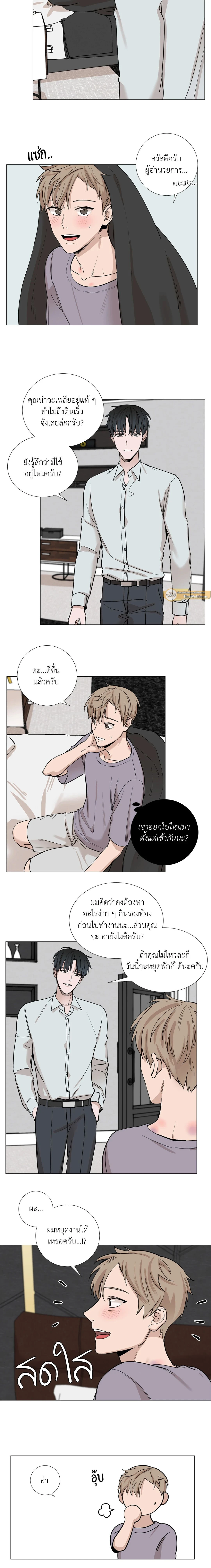 ภาพที่ 3