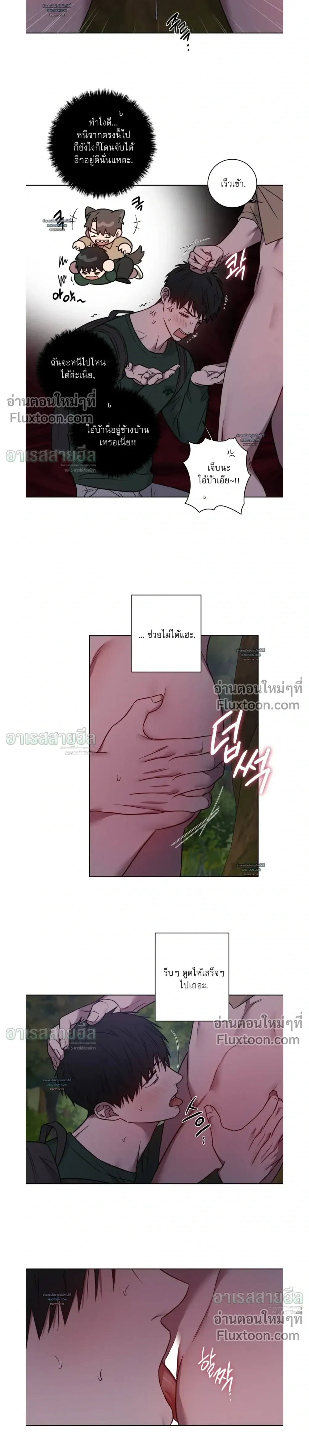 ภาพที่ 3