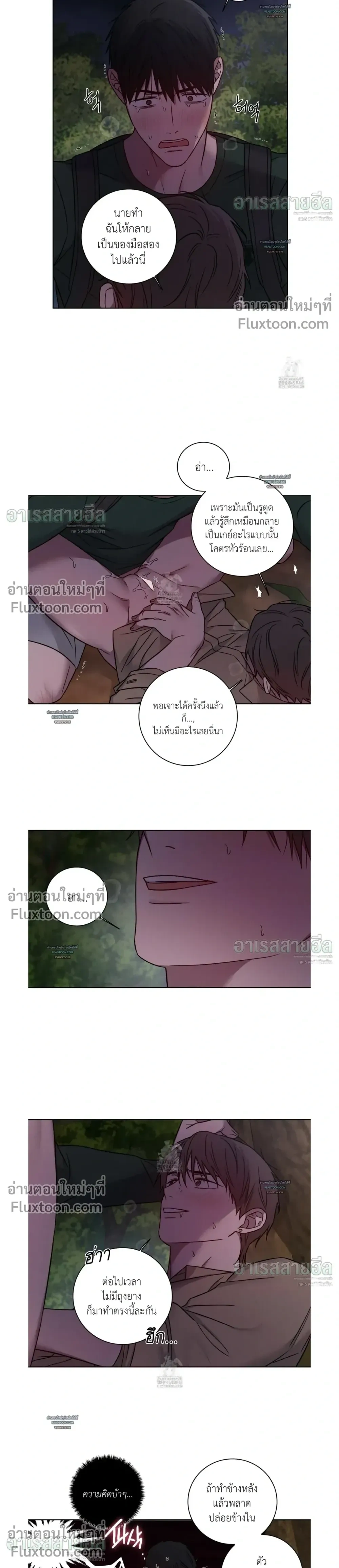 ภาพที่ 4