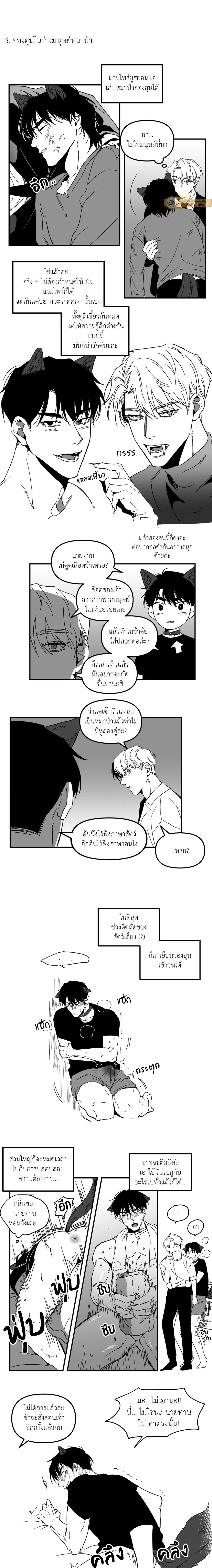 ภาพที่ 4