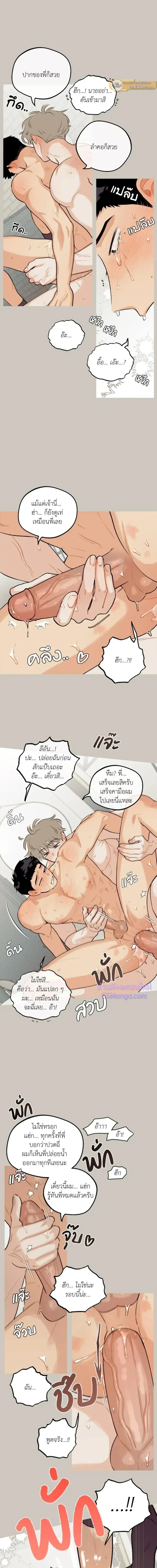 ภาพที่ 4