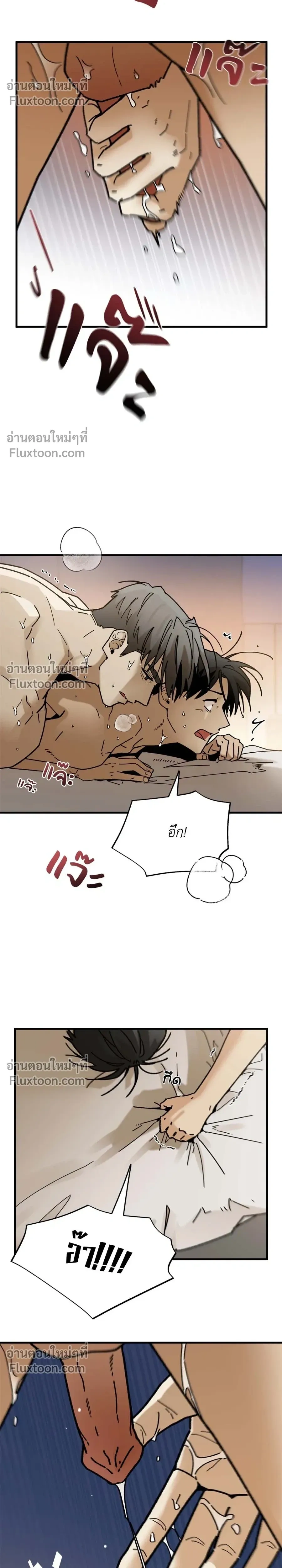 ภาพที่ 4