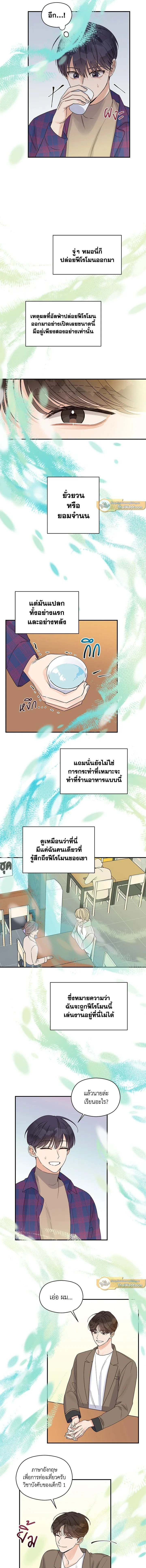 ภาพที่ 3