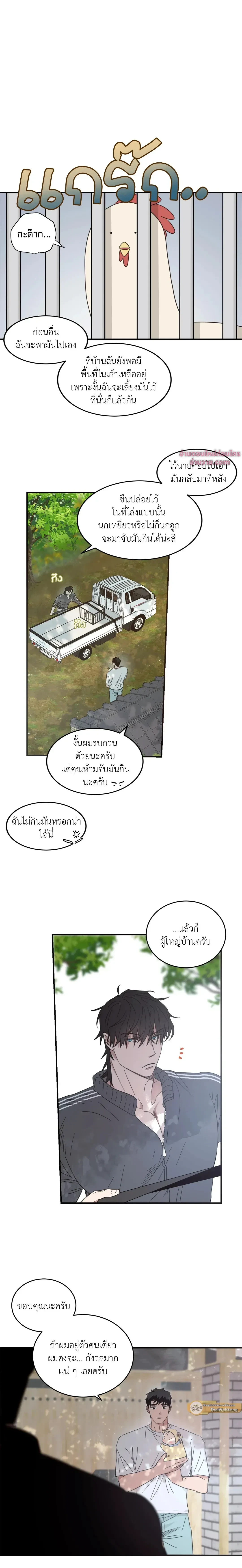 ภาพที่ 4