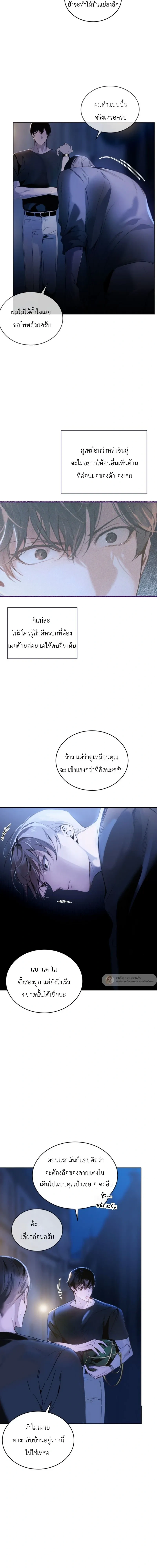ภาพที่ 3
