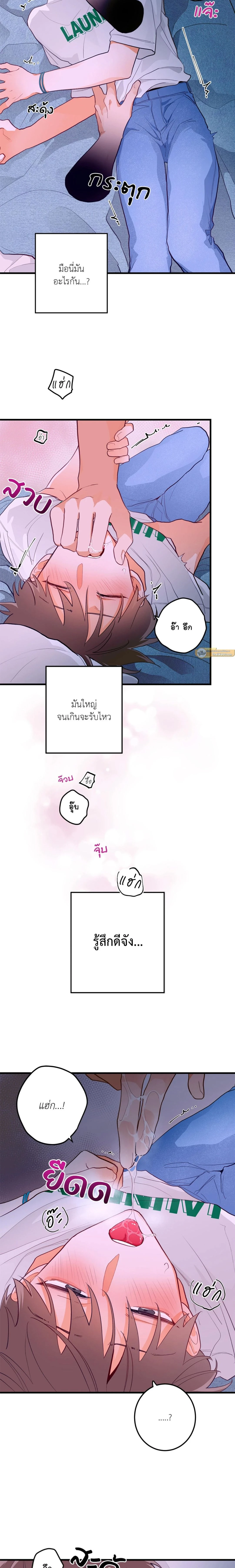 ภาพที่ 3