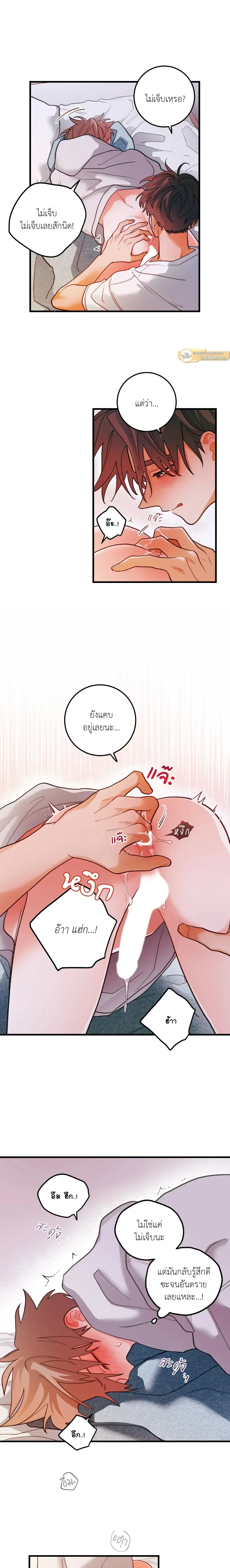 ภาพที่ 3