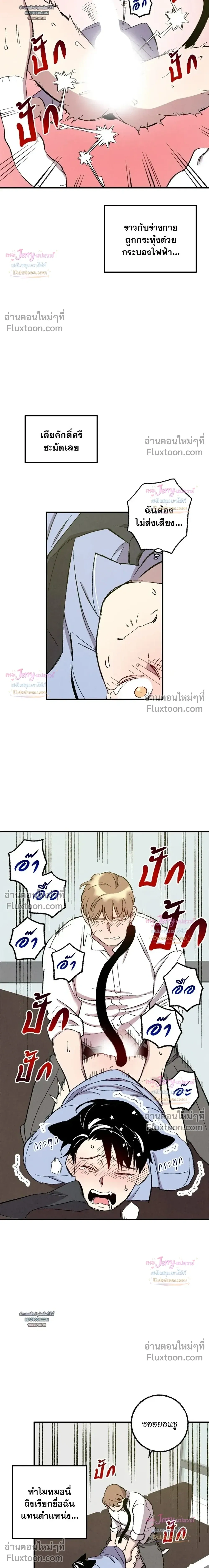 ภาพที่ 4