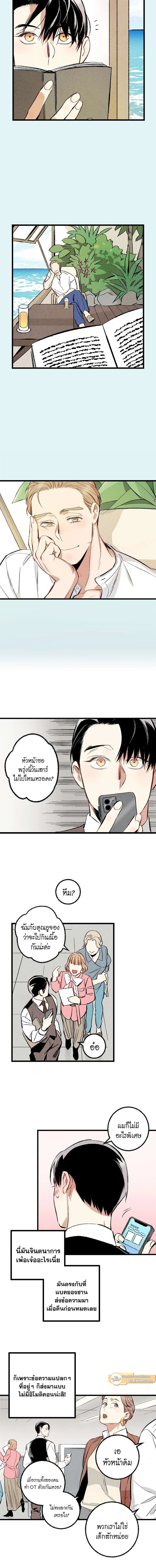ภาพที่ 2