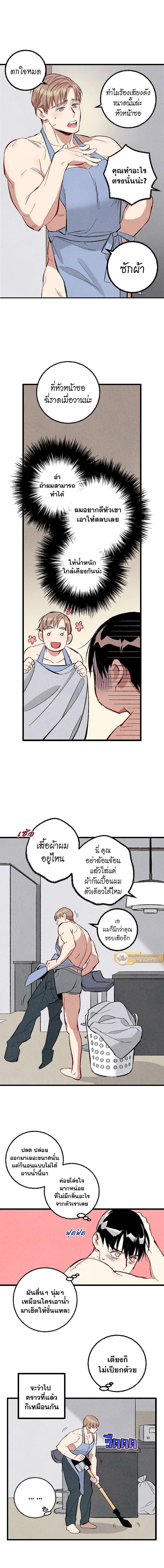 ภาพที่ 3