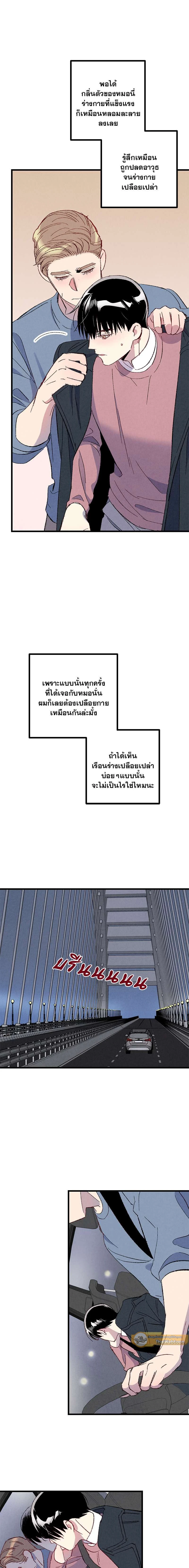 ภาพที่ 3