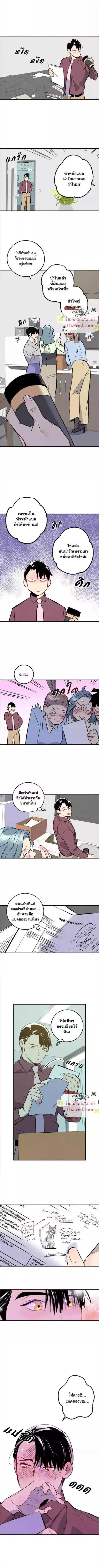 ภาพที่ 4