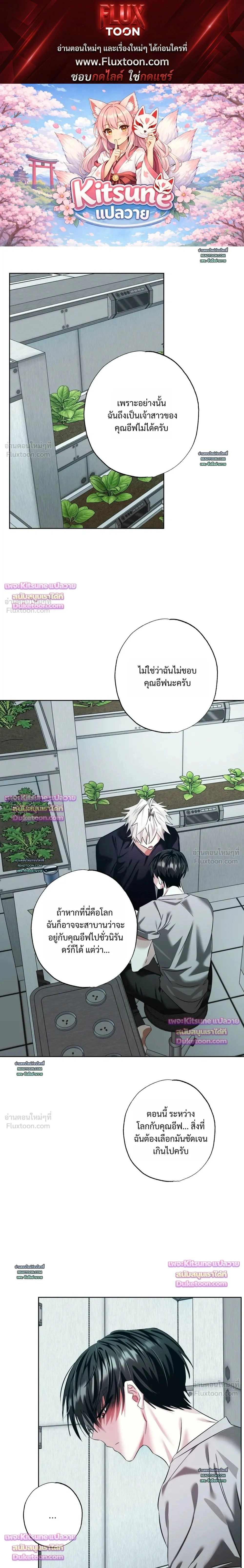 ภาพที่ 1
