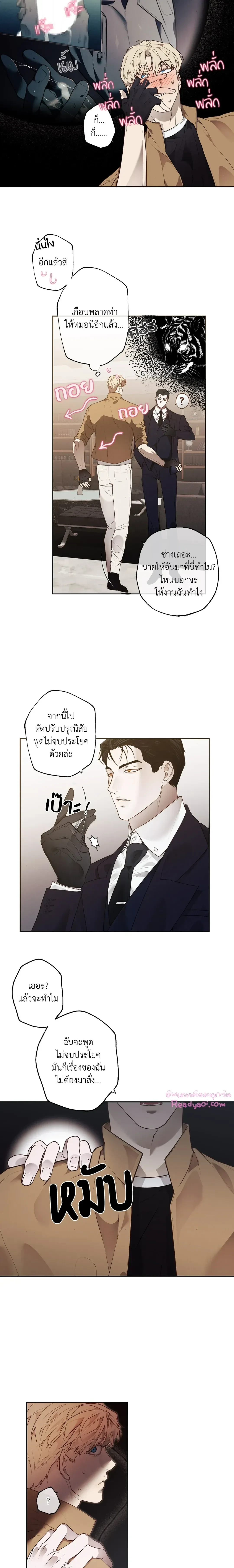 ภาพที่ 4