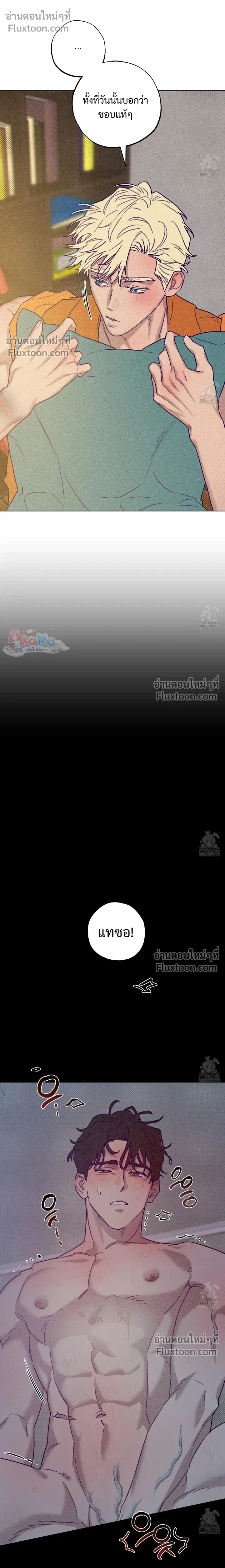 ภาพที่ 4