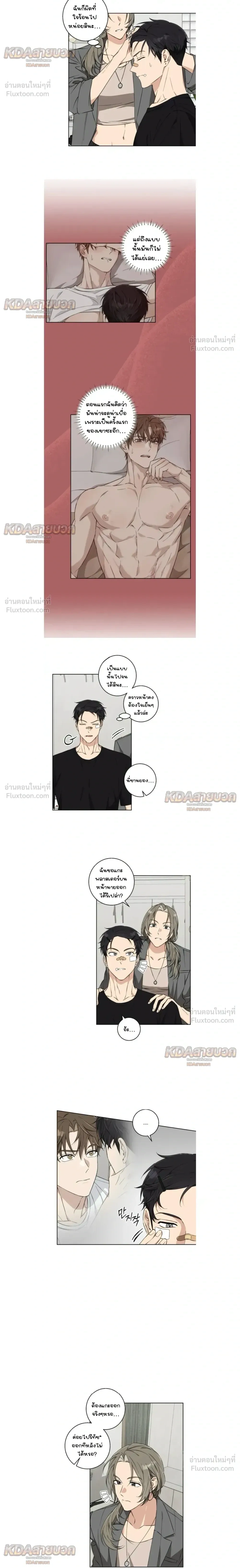 ภาพที่ 4