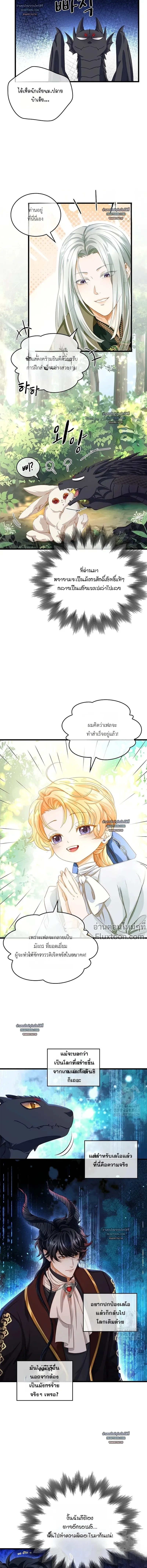 ภาพที่ 3