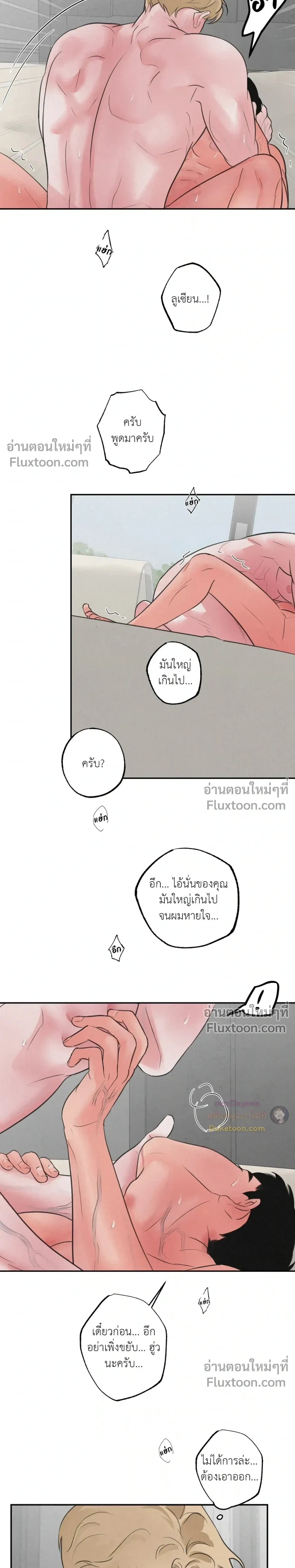 ภาพที่ 4