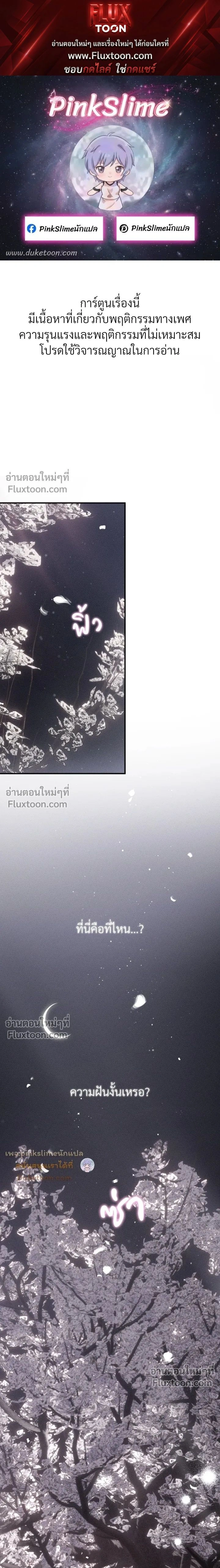 ภาพที่ 1