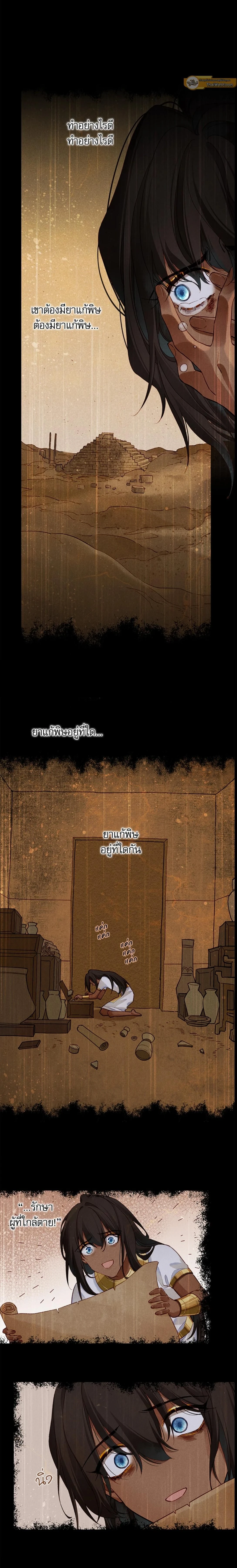 ภาพที่ 3