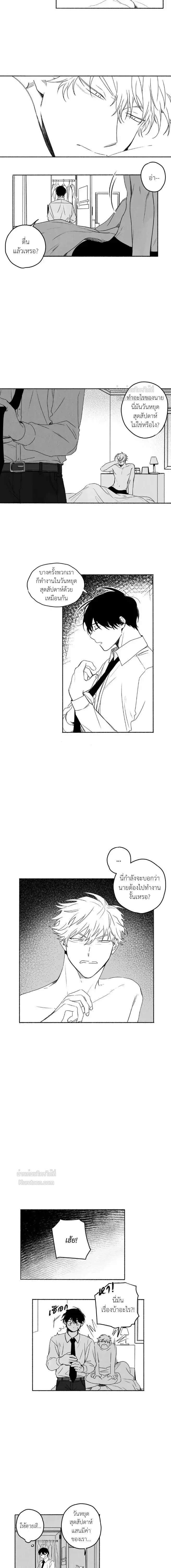 ภาพที่ 3