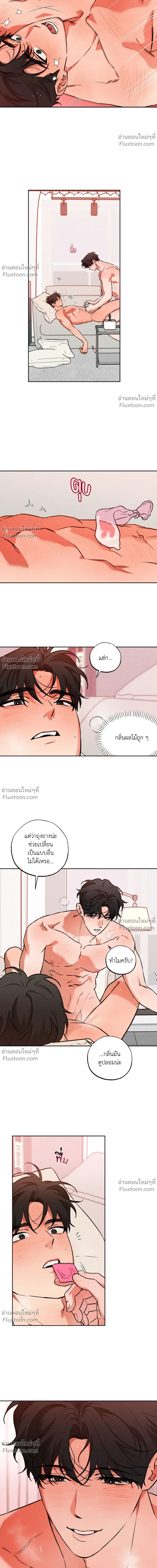 ภาพที่ 4