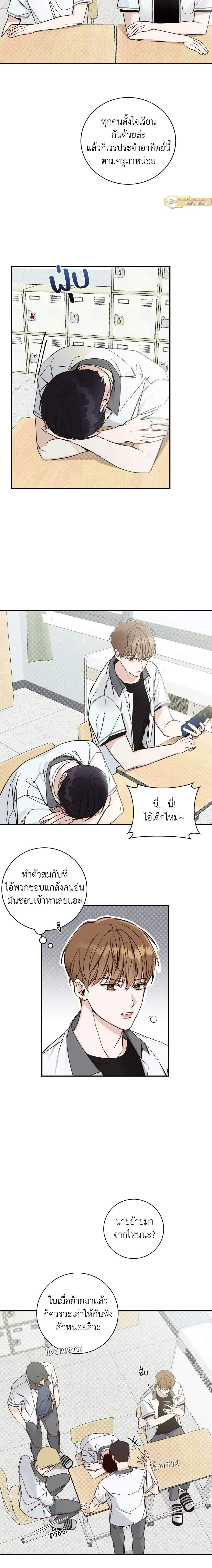 ภาพที่ 3