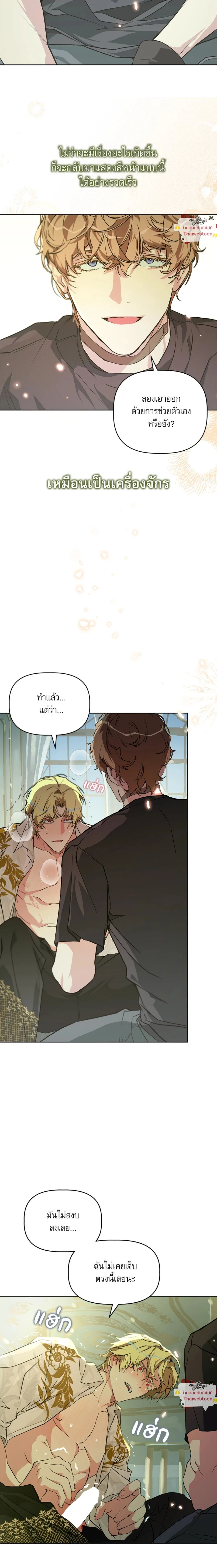 ภาพที่ 3
