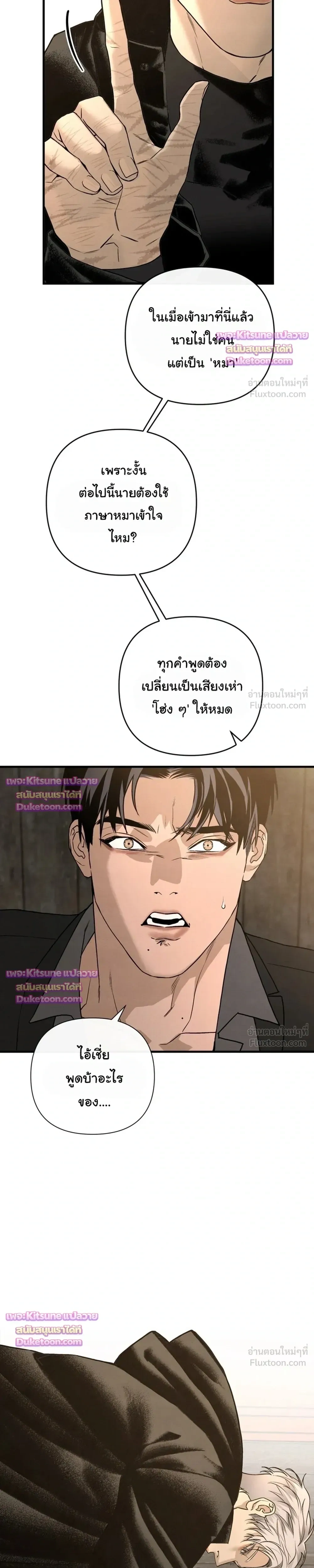 ภาพที่ 4