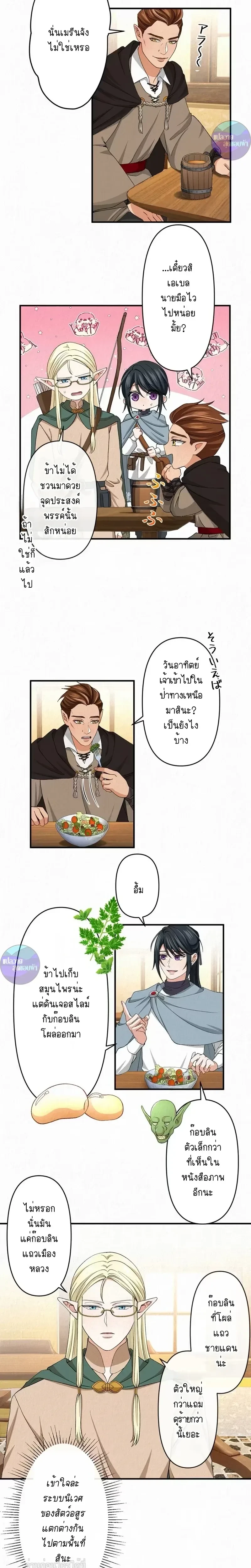 ภาพที่ 3