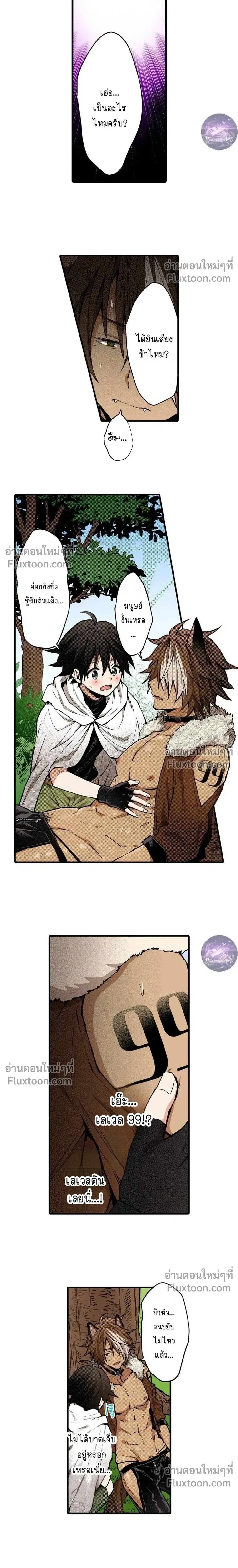 ภาพที่ 3