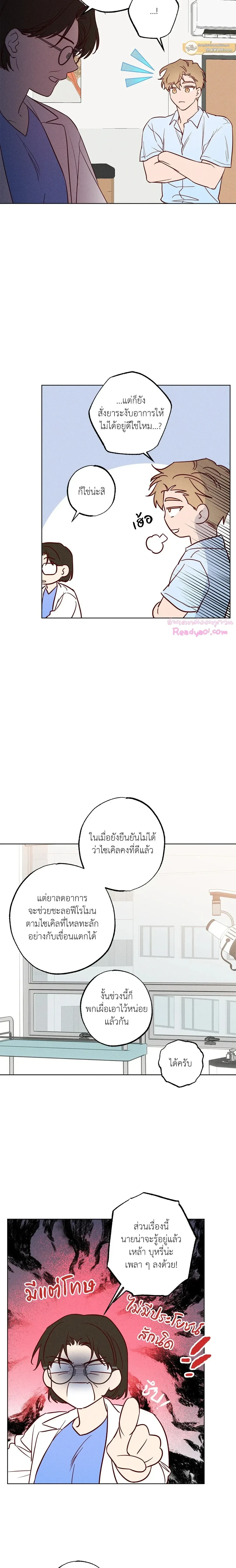 ภาพที่ 3