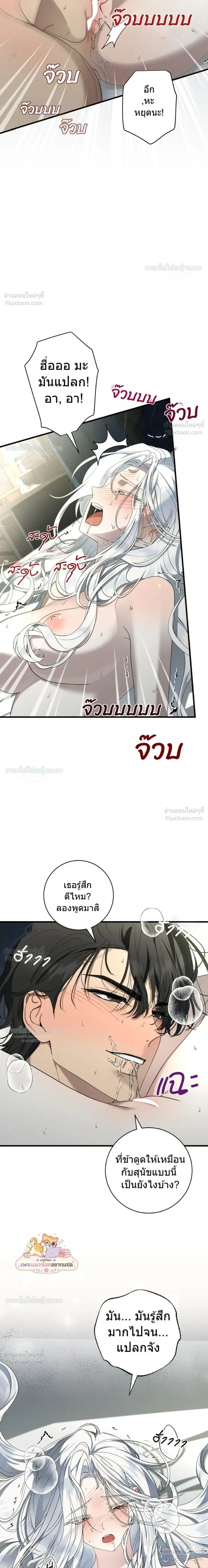 ภาพที่ 4