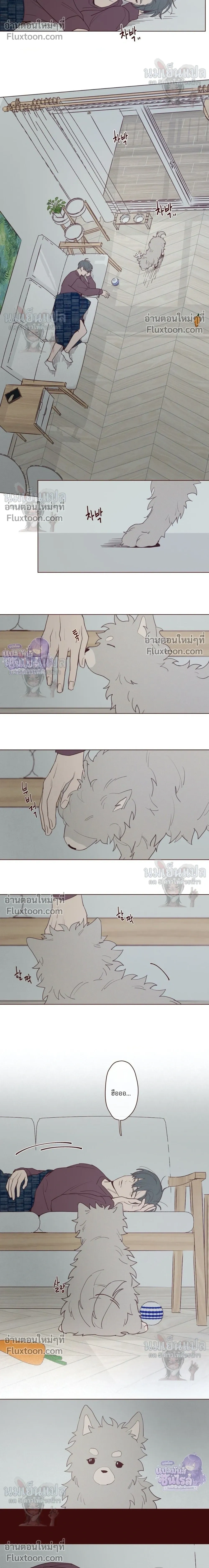 ภาพที่ 4